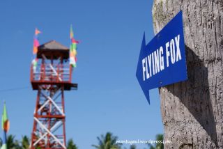 Flying Fox