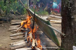Ini penduduk Sibohe sedang bakar Nasi Lemang untuk acara pernikahan