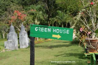 Itulah Green house taman bougenville Singkawang