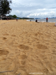 Pantai Samudera Beach