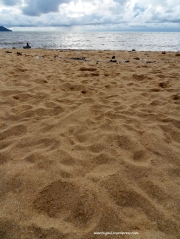 Pantai Samudera Beach