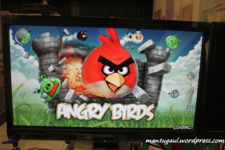 Main angry birds