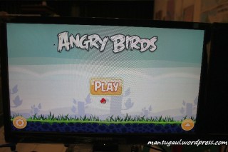 Main angry birds