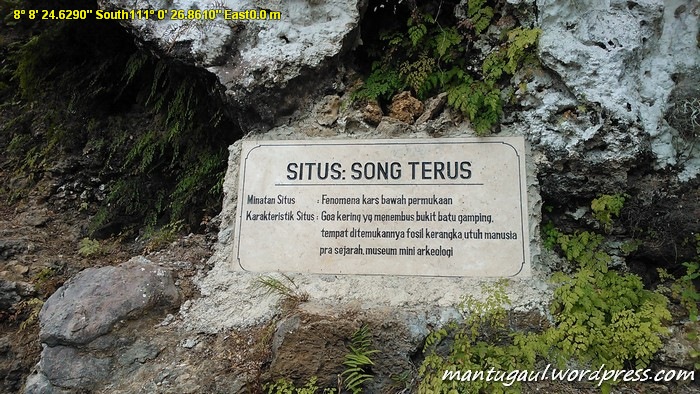 Goa Song Terus